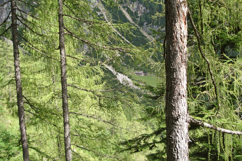 67 Kurzer Blick zurueck.JPG